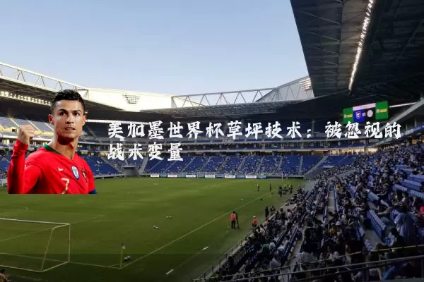 美加墨世界杯草坪技术:被忽视的战术变量